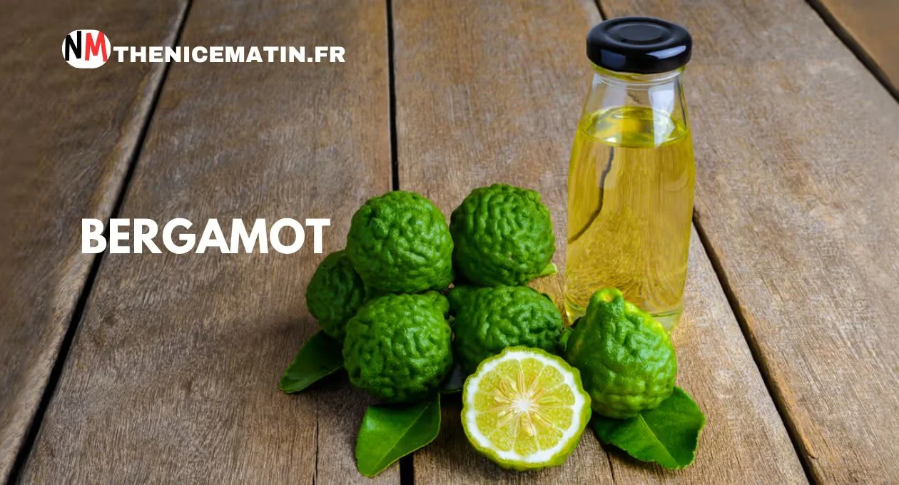 bergamot