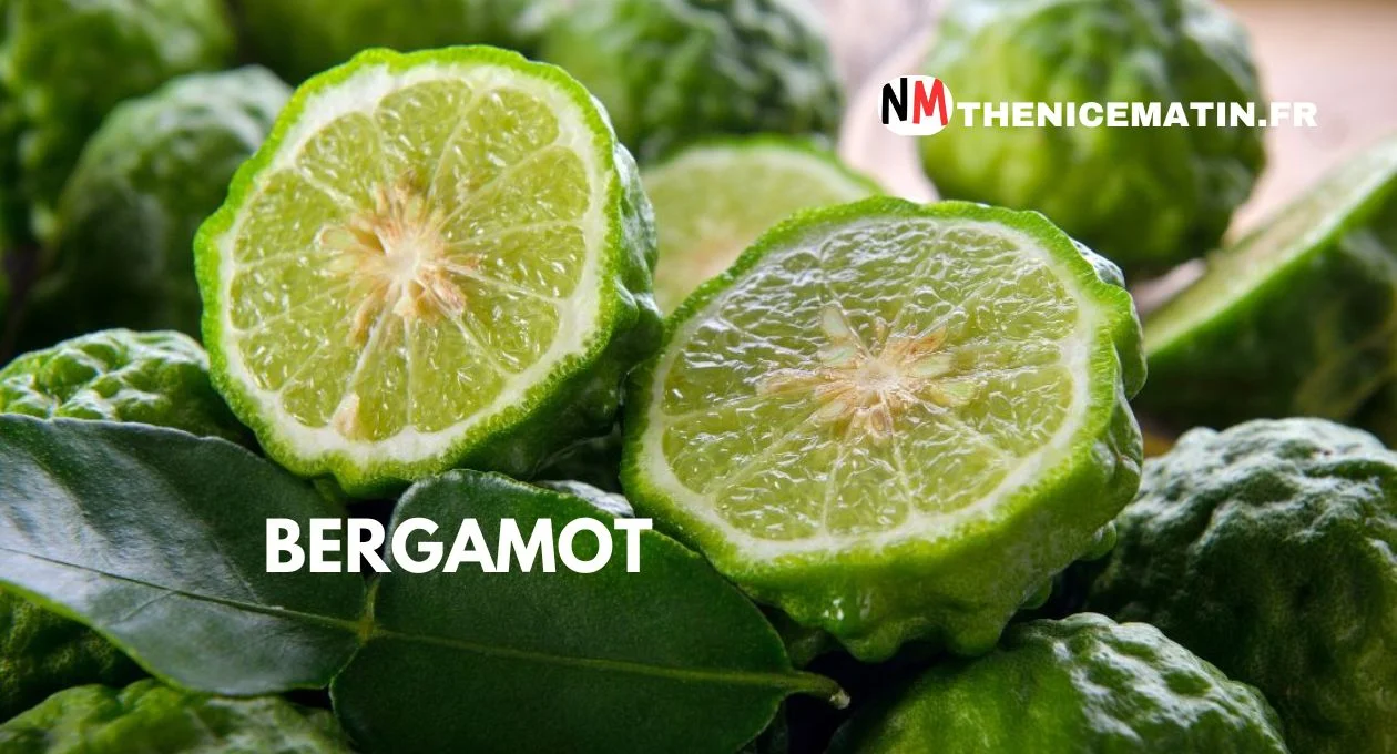 bergamot