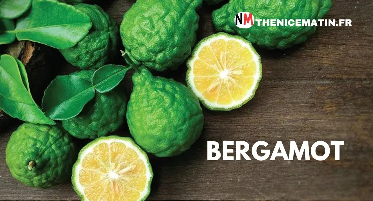 bergamot