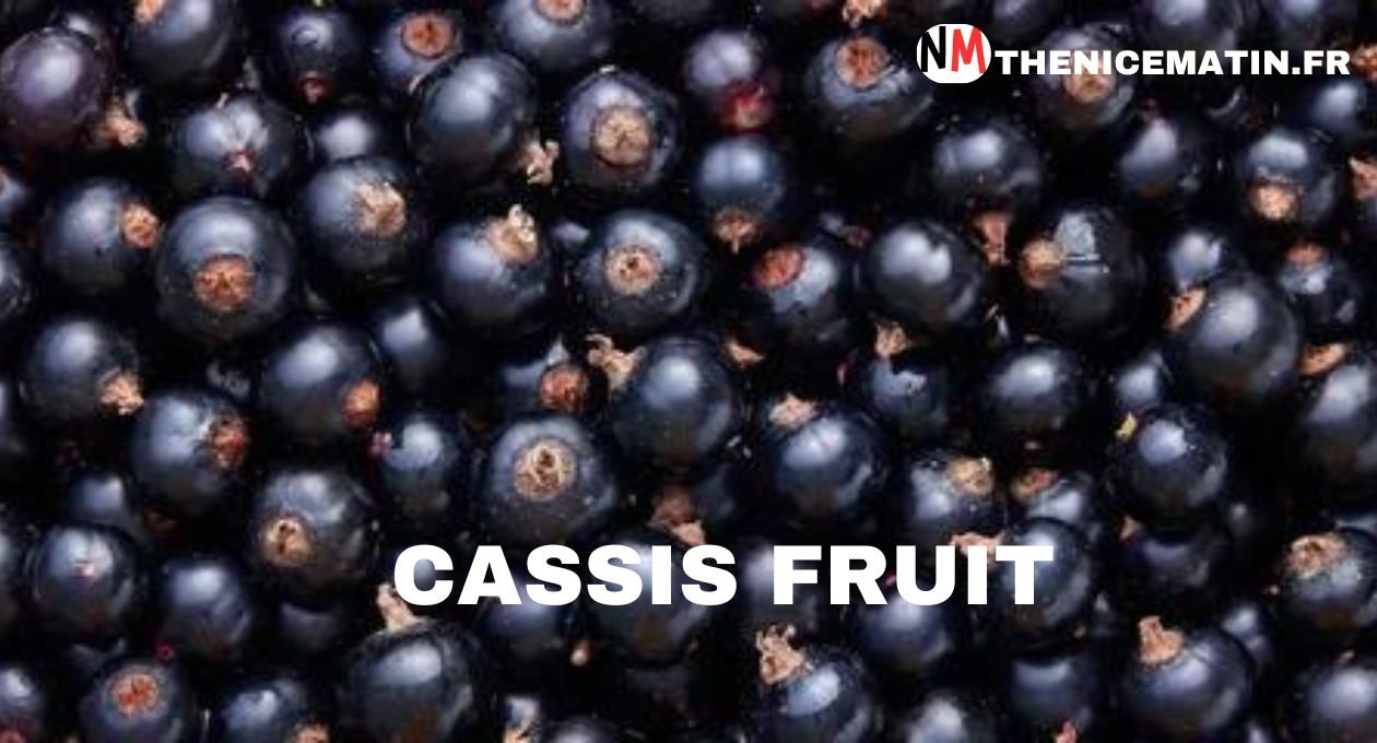 cassis fruit