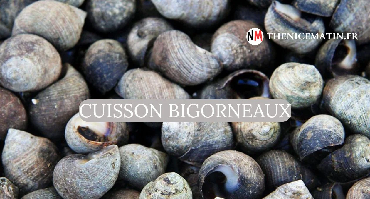 cuisson bigorneaux