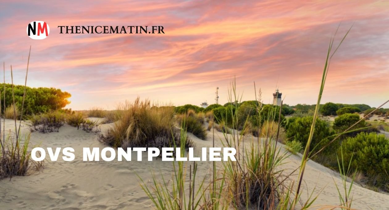 ovs montpellier