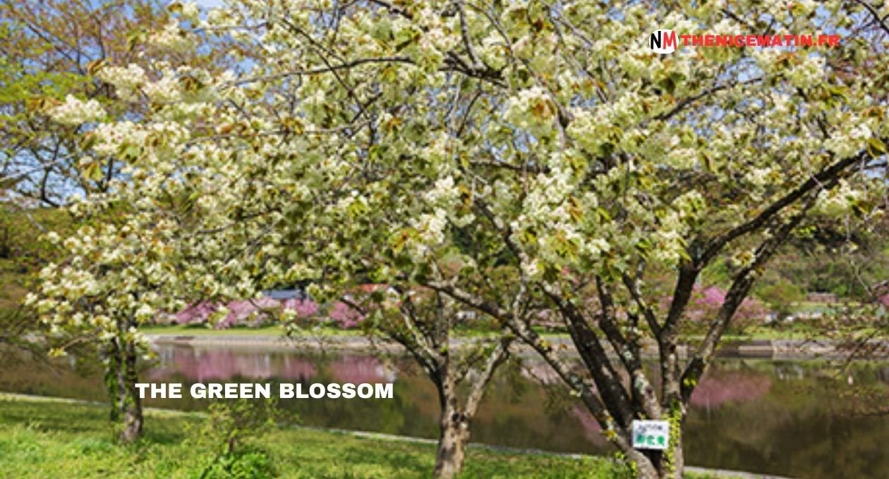 the green blossom